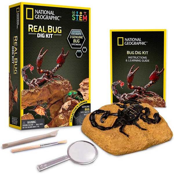 National Geographic Descubre Insectos