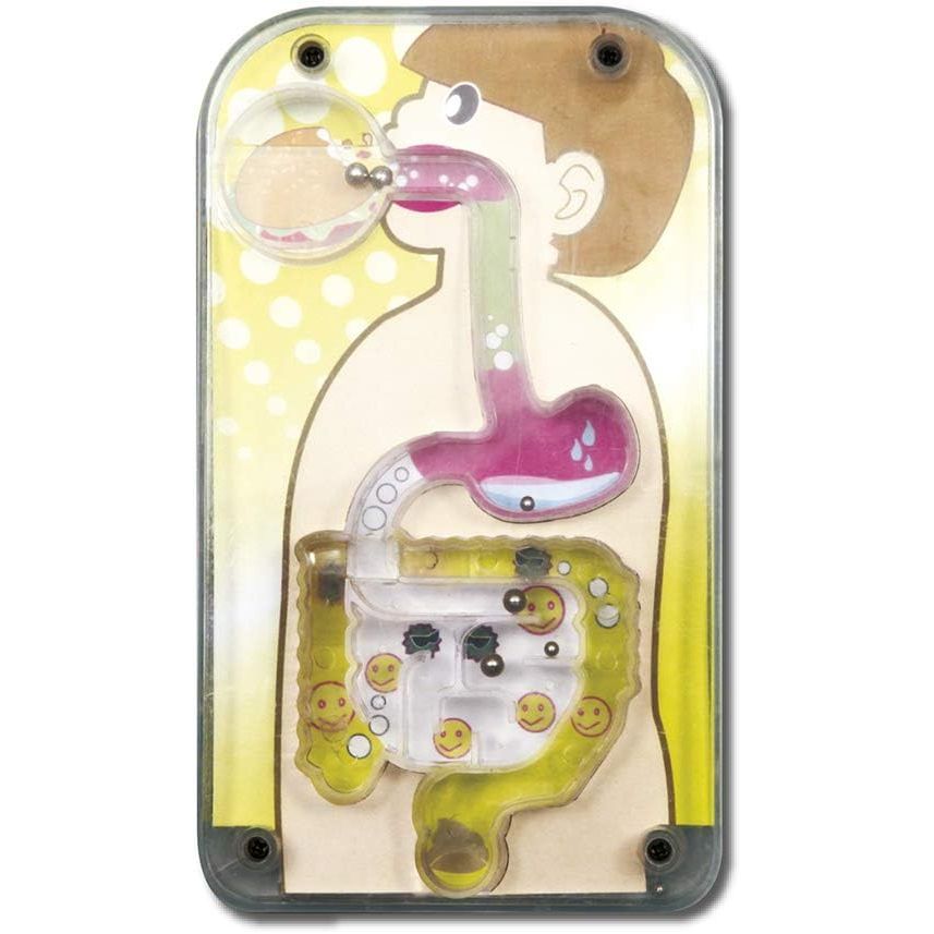 Toy Partner Artec el Aparato digestivo