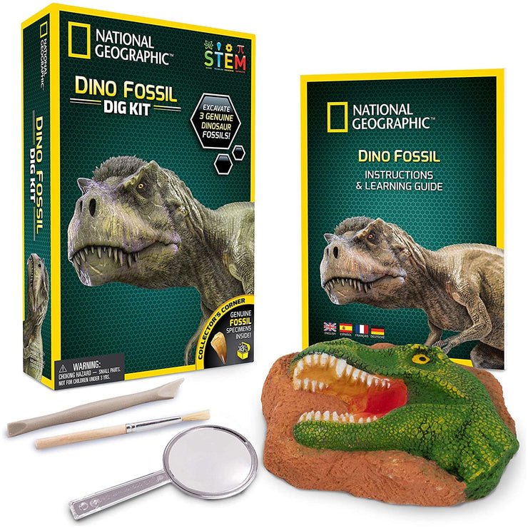 NATIONAL GEOGRAPHIC Fósil Dinosaurio, Multicolor.
